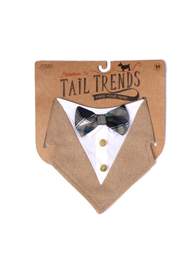 Brosnan Bow Tie Formal Bandana